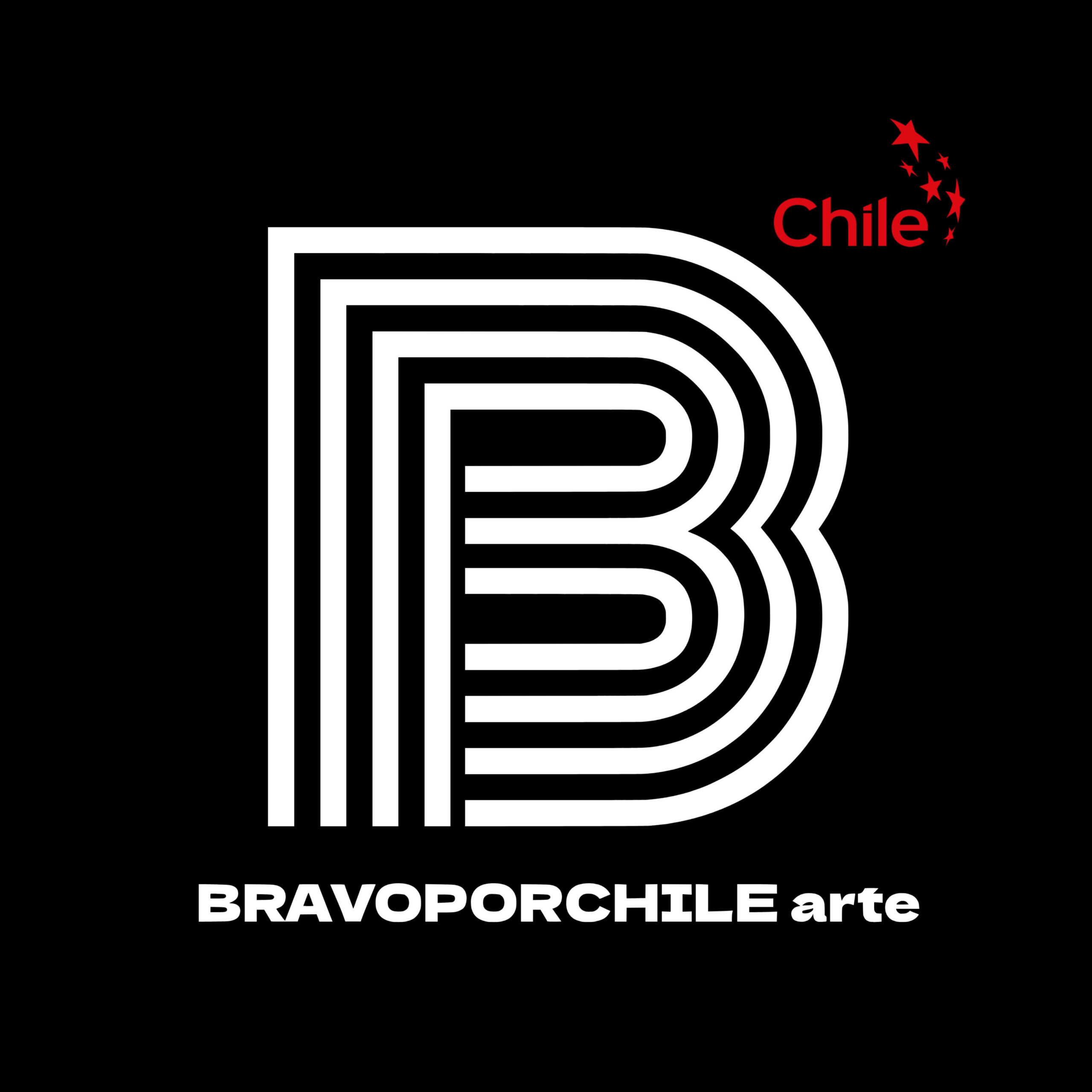 BRAVO POR CHILE store